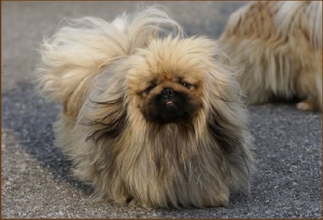 Publication : de l'empire des trois lacs 