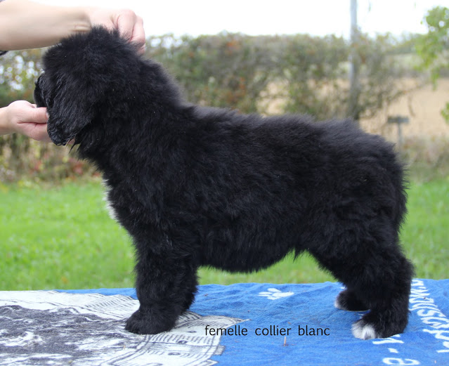 Publication : Terre D'Aussie