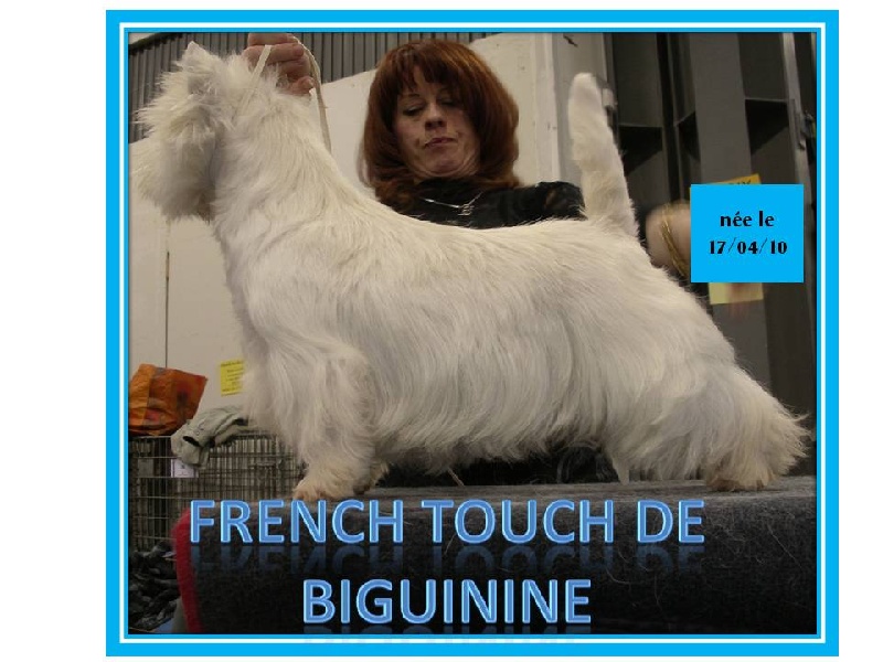 French touch de Biguinine