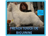 Étalon West Highland White Terrier - French touch de Biguinine