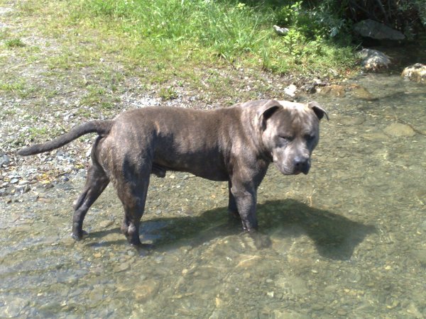 Publication : De L'éclat Du Diamant 