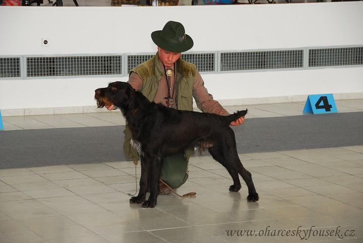 Publication : Des Petits Diables a Chorlus