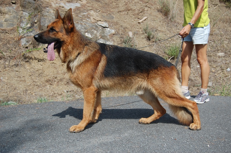 Publication : di mareland Auteur : carlo