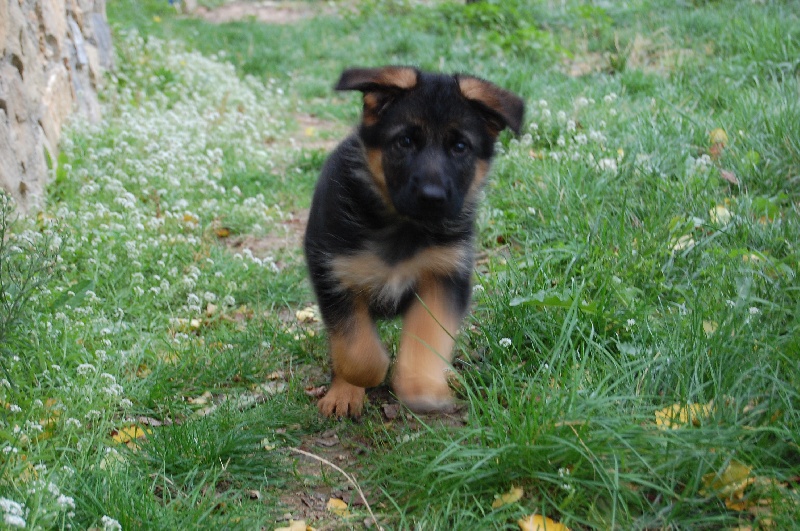 Publication : di mareland