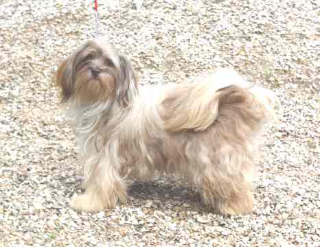 Publication : Coeur De Masai Auteur : marianne SEPTIER