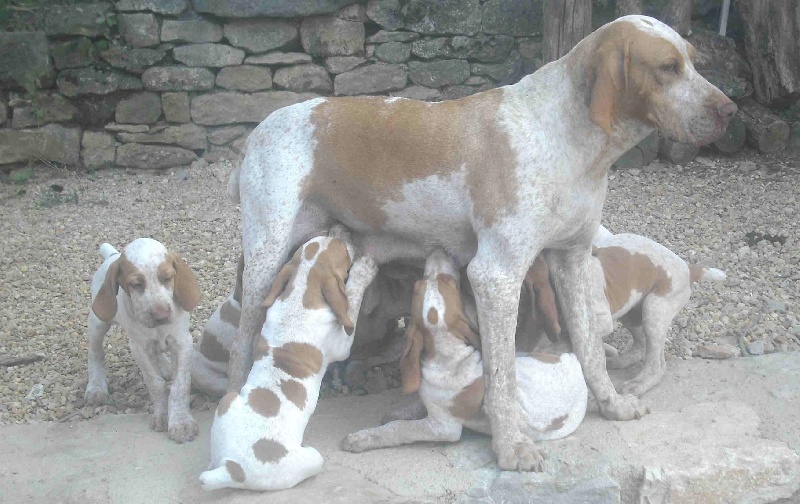 Publication : De Aqui Sen Pla Auteur : C.iordanoff