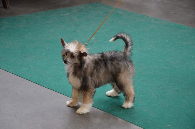 Publication : Of Sabichbyllbi Of Course Auteur : Tiphaine Legrand