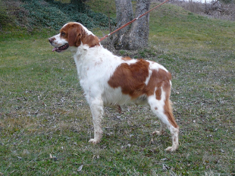 Publication : des Hautes Clauzes Auteur : RAFFIER Guy