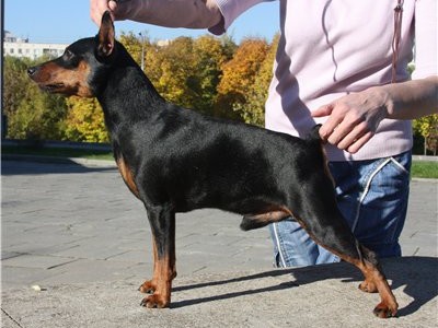 CH. Chen me beit hamaayan