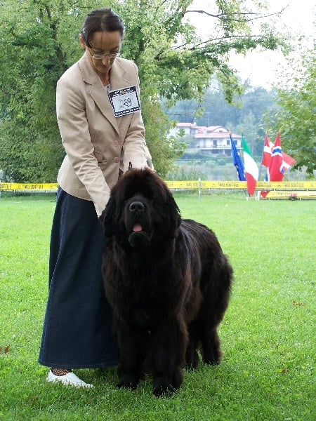 Publication : di mareland