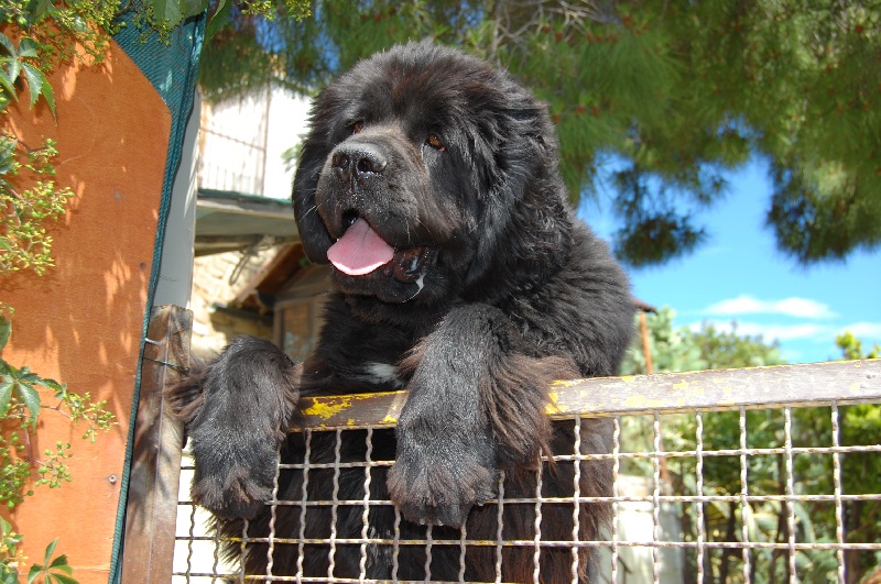 Publication : di mareland