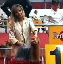 CH. Nick nack's Ferrari testarosa