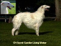 CH. secret garden Living water