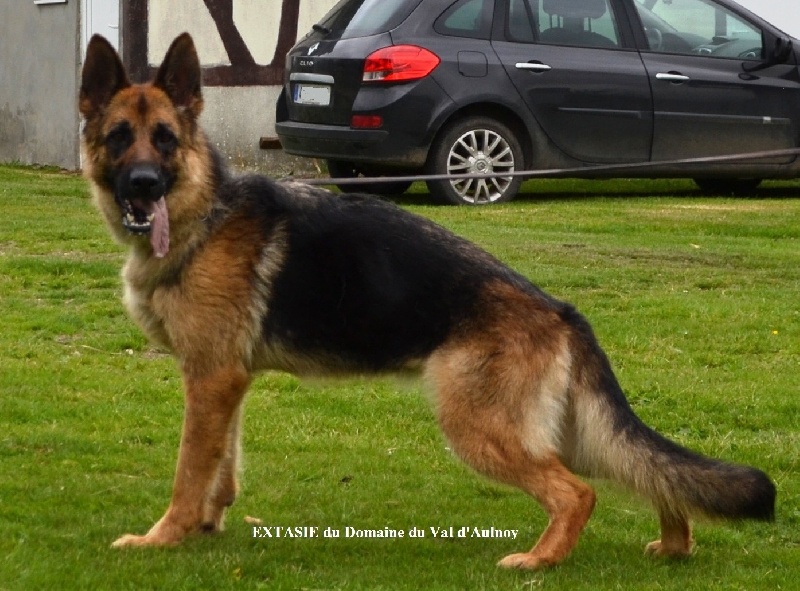 Extasie du Domaine du Val D'Aulnoy