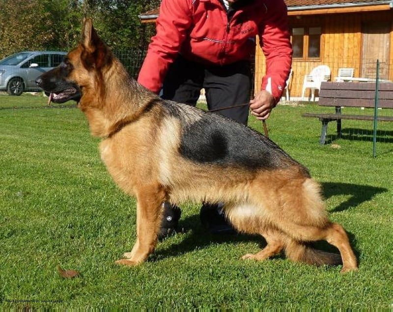 Folie du Domaine du Val D'Aulnoy