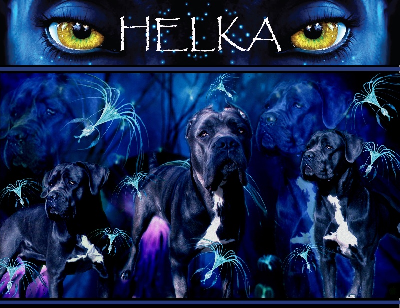 Helka du royaume des hauts de Nimes