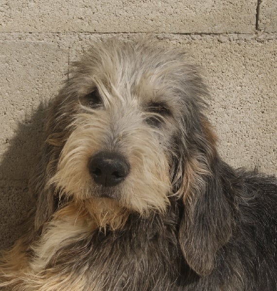 Publication : du roc d'Eden Auteur : Sylvie Hebert