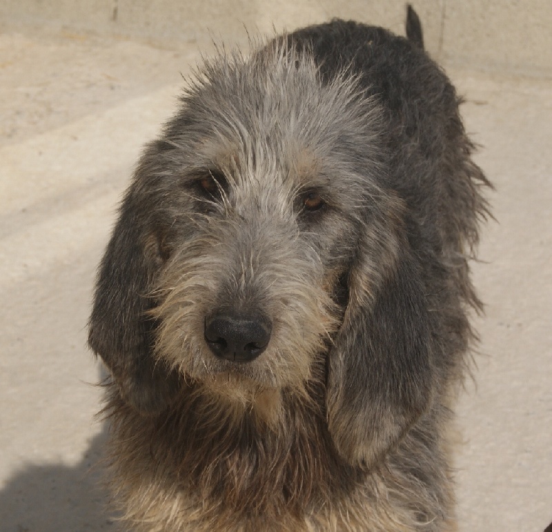 Publication : du roc d'Eden Auteur : Sylvie Hebert