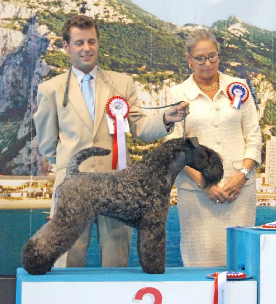 CH. arterriers Moonlight shadow