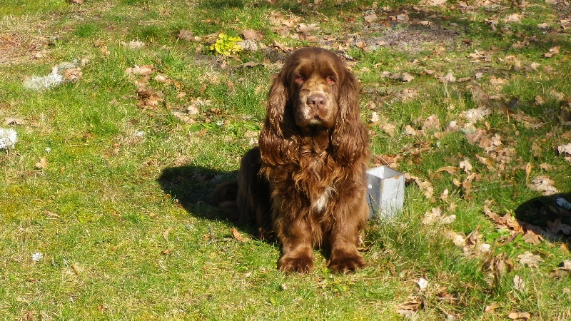 Awaï De la ferme dranseb