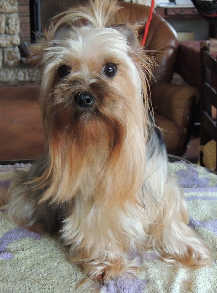 Eloise De la source des mayans