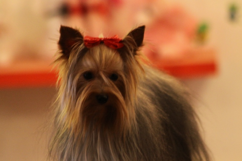 Publication : de la Felhotte 