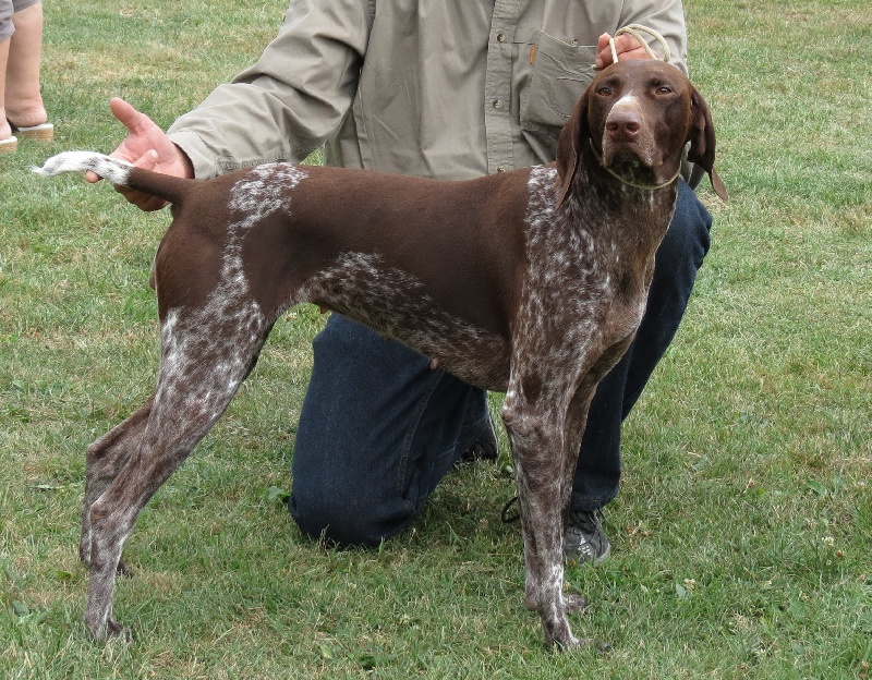 Publication : des Bek Noirs