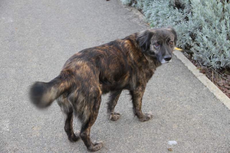 Publication : du clos du haldat 