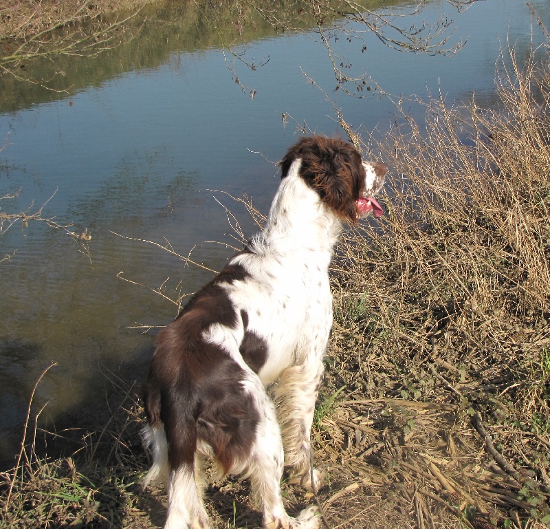 Publication : du domaine de Carrouge Auteur : Domaine du CARROUGE