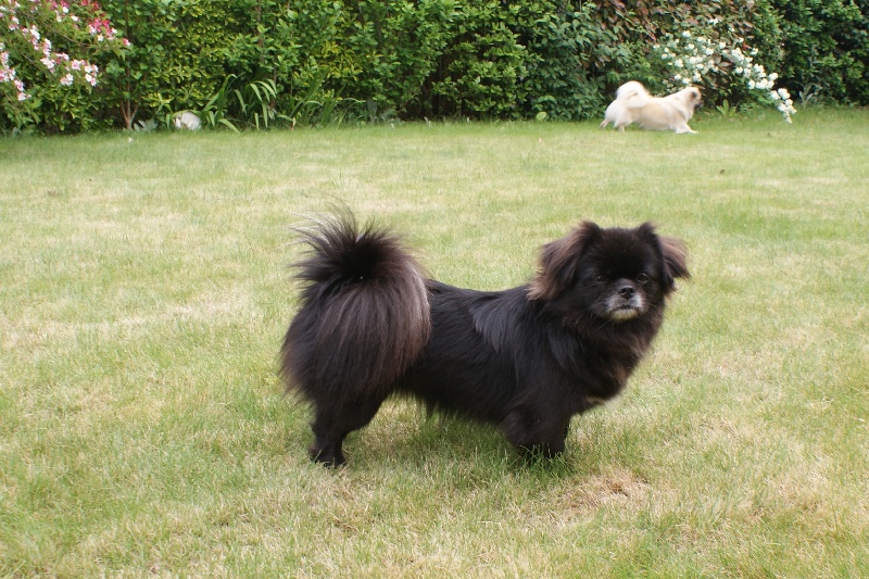 Publication : du fleuve d'or Auteur : Sarah Béchade