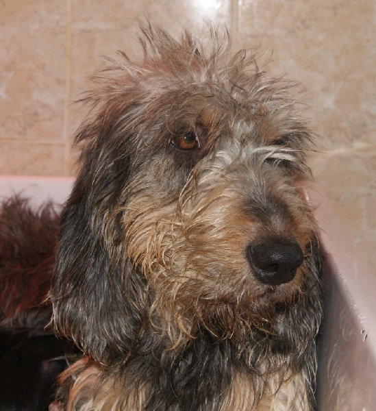 Publication : du roc d'Eden Auteur : Sylvie Hebert