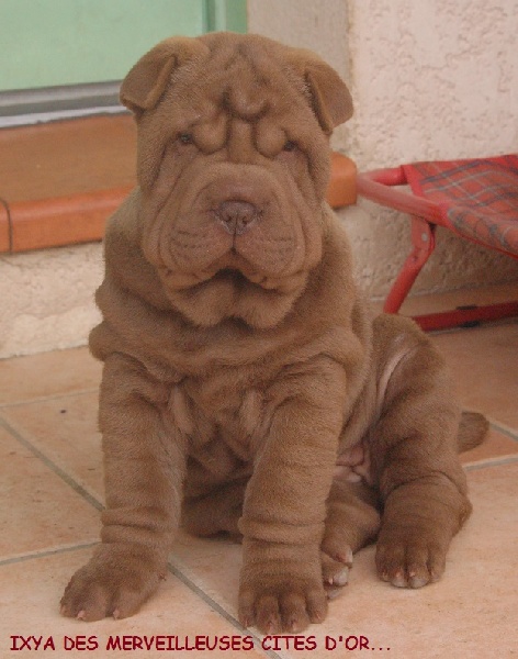 Publication : de l'Empire de Naikolomba Auteur : sandra soprano