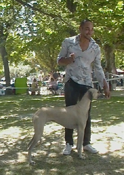 CH. Beduine cheherazad el djebel Of love arab beauty