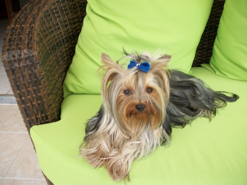 Publication : du Ly's D'Eden