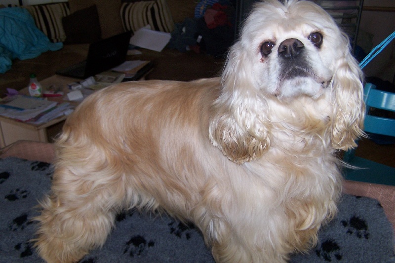 Publication : du mont d'amour 