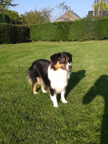 Publication : de l'empreinte Eternelle Auteur : floriane