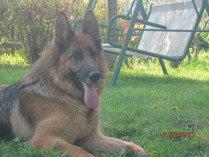 Fabia Du val de la houée