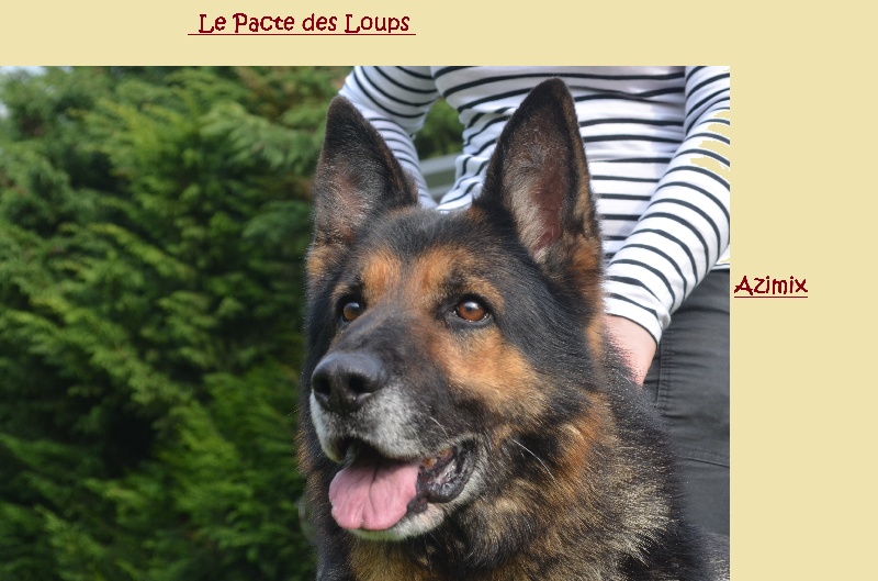 Azimix du Val des Hurles Vent