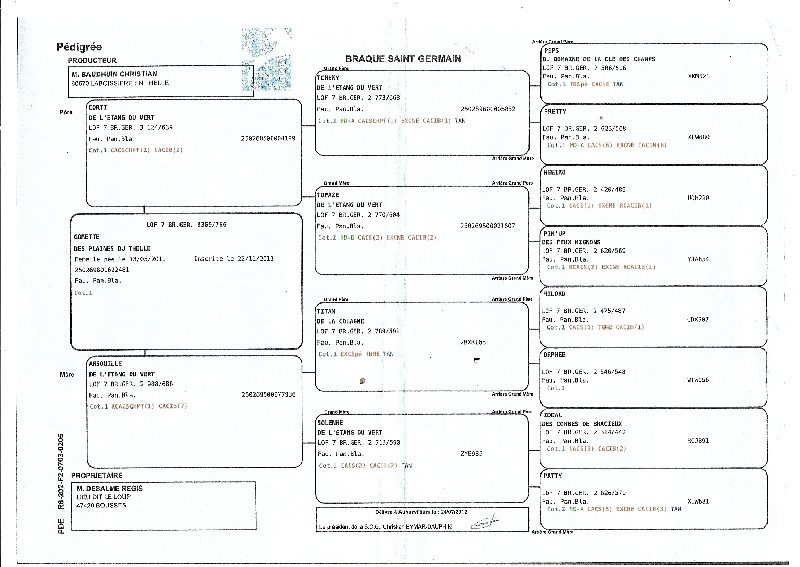 Publication : Du Mont Du Rossignol 