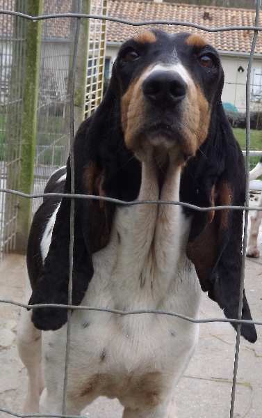 Publication : des Echos de Puymerle