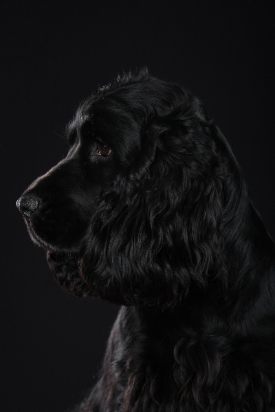 Publication : Real-Friends 