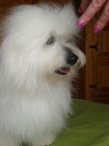 Publication : D'ivandry Auteur : CELLIER CATHY IVANDRY