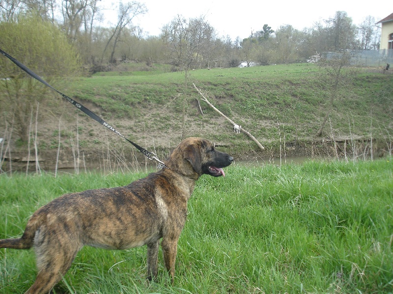 Publication : Du moulin de xavoy 