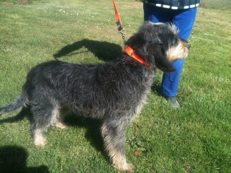 Publication : des étoiles de l'Armagnac 