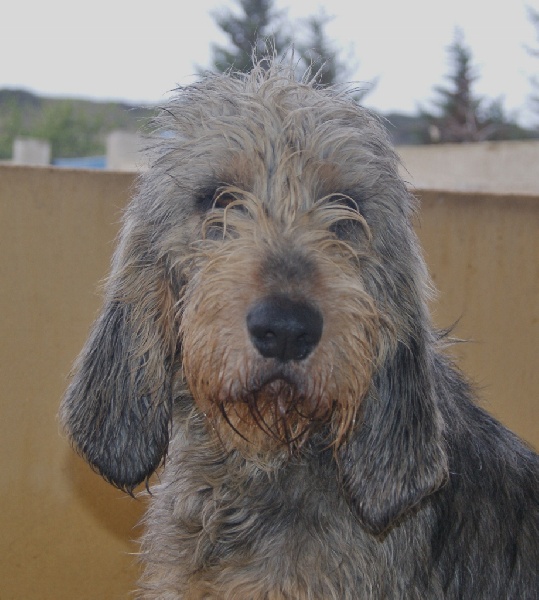 Publication : du roc d'Eden Auteur : Sylvie Hebert