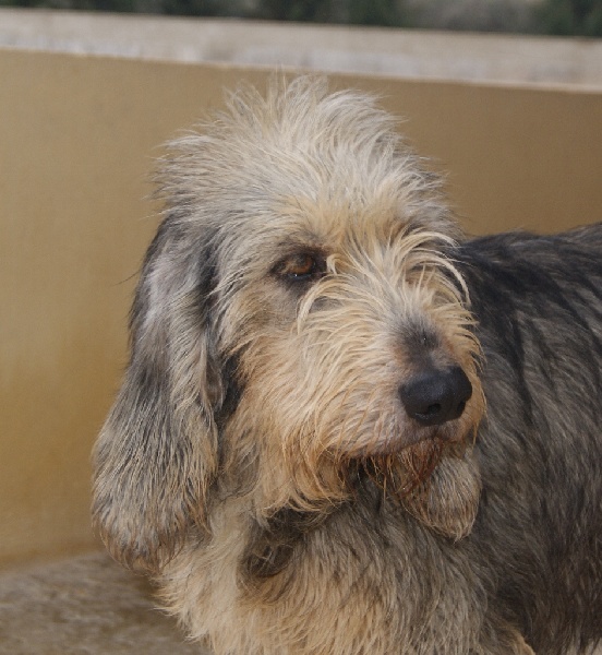 Publication : du roc d'Eden Auteur : Sylvie Hebert