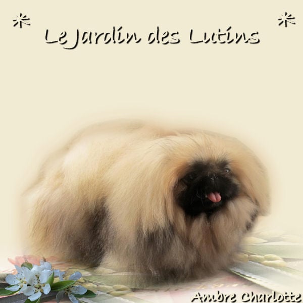 Publication : du Jardin des Lutins Auteur : KATIA MOREL