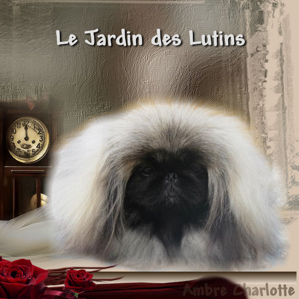 Publication : du Jardin des Lutins Auteur : KATIA MOREL