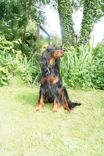 Publication : Du Haut De La Colline Auteur : F.Lalieux