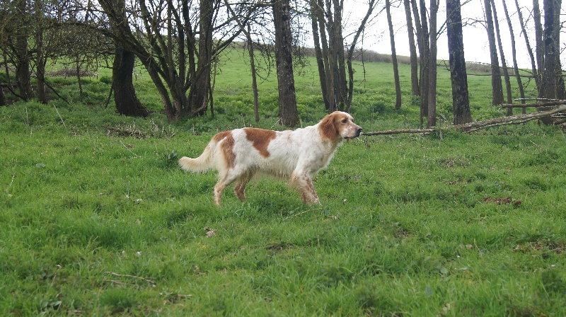 Publication : du Mas d'Eyraud 